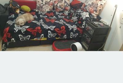 Garsonieră semidecomandată în Roșu - 8