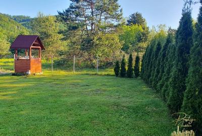 Cabana de lemn cu teren 760 mp de vanzare in Coada Lacului - Bihor - 20