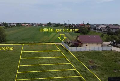 Teren de 412 mp, în Berceni - 6