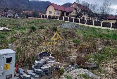 Teren de 700 mp, în Vest - 3