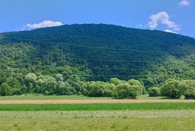 Teren extravilan de 77000 mp, în Bodoc