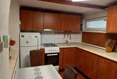 Casă cu 2 camere în Carei - 4