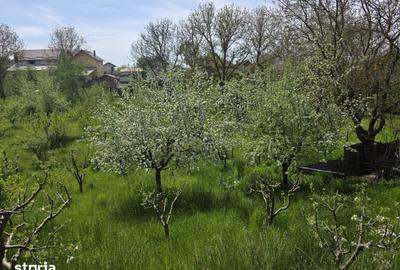 Casă cu 3 camere cu Teren 1079 Mp în Stâlpeni - 14