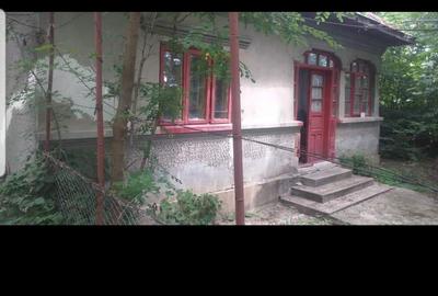 Casă cu 6 camere cu Teren 4000 Mp în Petrești - 3