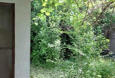 Casă cu 4 camere în Murighiol - 6