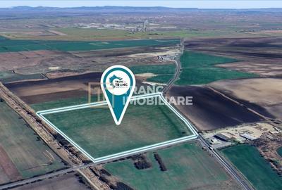 Teren agricol extravilan de 128500 mp, în Vest - 4