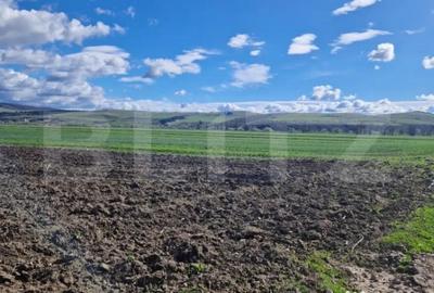 Teren de 15000 mp, în Central - 5