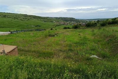 Teren intravilan de 1212 mp, în Dorobanț - 9