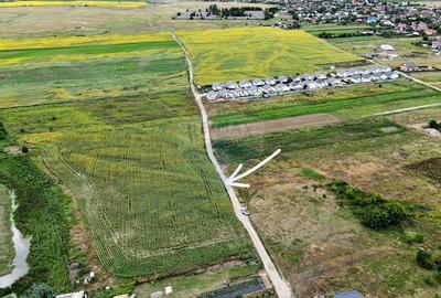 De vanzare teren de 3091 mp in Lilieci / Strada Tulbuc - Bacau - 5