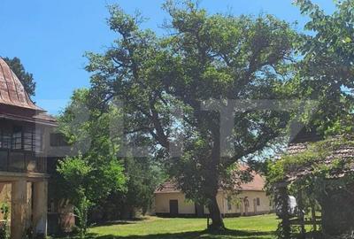 De vanzare conac boieresc, anul 1880, 3 ha teren, 1200 mp co - 4