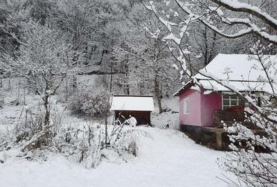 Casă cu 2 camere în Lunca Vișagului - 3