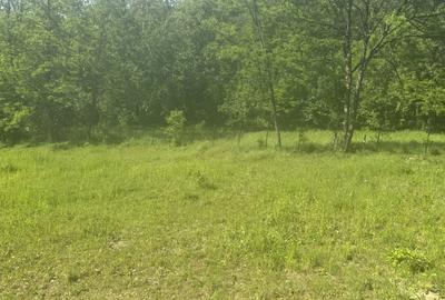 Spațiu comercial, în Ocnele Mari - 3