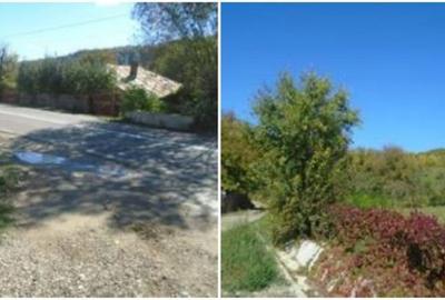 Teren de 1500 mp, în Broșteni - 3