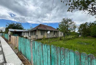 Casă cu 4 camere cu Teren 4430 Mp în Buciumeni - 11