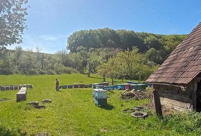 Casă cu 3 camere cu Teren 5400 Mp în Daia (Bahnea) - 9