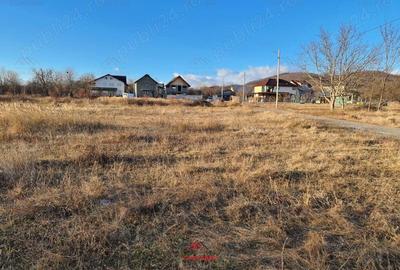 Teren intravilan in Banesti-- 5000mp--26e - 2