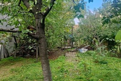 Popietate deosebită  de vinzare în centrul orașului Sebes - 7