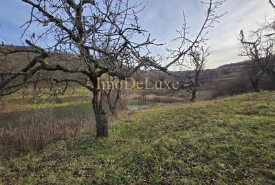 Teren extravilan langa lac, 8500mp, priveliste, acces, utilitati, zona Baciu - 6