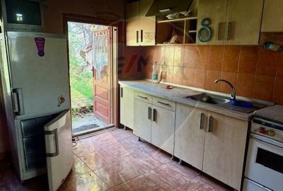 Casă individuală cu 2 camere cu Teren 1449 Mp în Ocna Șugatag - 6