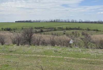 Casă cu 4 camere cu Teren 230 Mp în Letca Nouă - 2