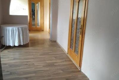 Casă cu 3 camere cu Teren 3000 Mp în Fârliug - 10