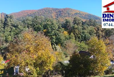 3600 mp teren intravilan, sat Bistrita, 16 Euro/mp - 4