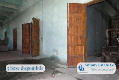 Hala, Spatiu Depozit, Atelier de inchiriat, zona Paleu, Orad - 5