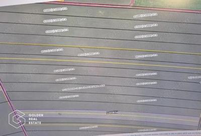 Teren arabil 10.000 mp, Calea Sagului DN 59 - 3