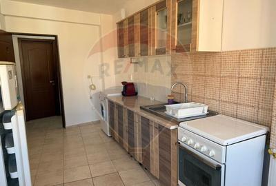 Apartament cu 1 camere de închiriat în zona Brazda lui Novac - 8