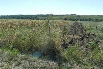 Teren extravilan arabil, situat in Oravita, Jud Caras-Sev... - 2