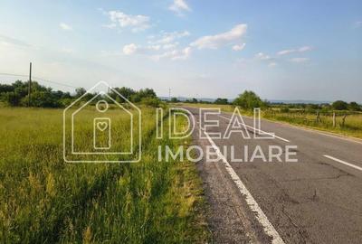 Teren agricol extravilan de 1800 mp, în Cârțișoara - 1