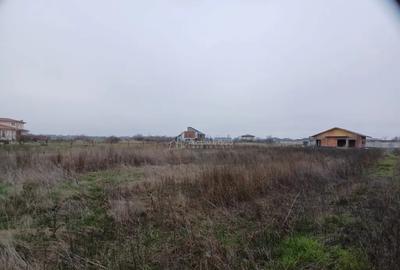 Teren de 1860 mp, în Corbeanca - 9