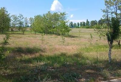 Teren de 750 mp, în Bratovoești - 1