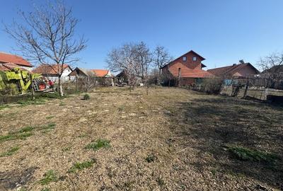 Casă individuală cu 3 camere cu Teren 1000 Mp în Cărpiniș - 4