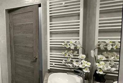 Vand la cheie, apartament studio modificat - 10