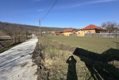 Spațiu comercial, în Cocoru - 5