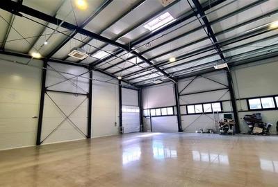 Hala noua de inchiriat , zona Lugojului - Aeroport Tmisoara - 4