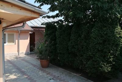 Proprietate frumoasa Vatra Noua - 3