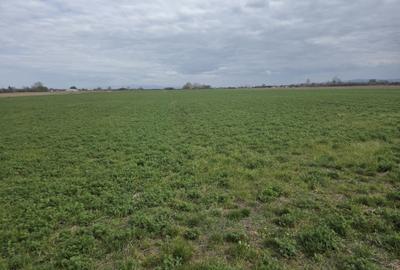 Spațiu comercial, în Dacia - 5