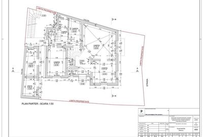 Parcul Carol, vila S+P+1+M - 9