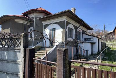 Casă cu 3 camere cu Teren 2430 Mp în Berevoești - 5