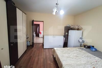 Casă cu 3 camere cu Teren 24000 Mp în Micula - 3