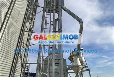 Siloz cu 3000tone capacitate(+3000t pista) | 2ha teren - 12