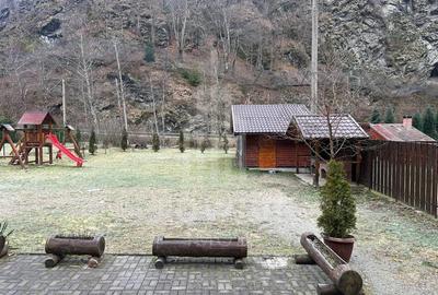 Casă cu Teren 800 Mp în Râu Sadului - 4