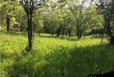 Teren de 2477 mp, în Talea - 2