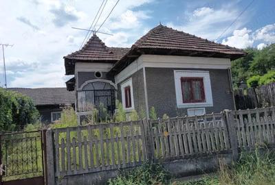 CASA PITOREASCA DE VANZARE BRANESTI - DAMBOVITA
