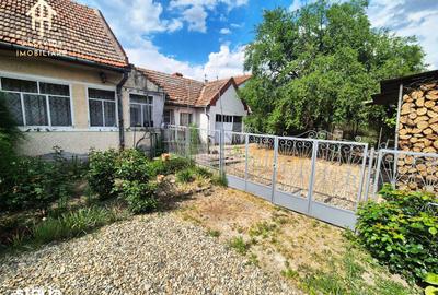Casă cu 3 camere cu Teren 861 Mp în Balinț - 12