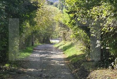 Teren de 6896 mp, în Borhanci - 10