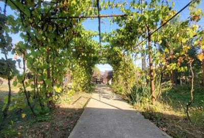 Casa Lipanesti, Judetul Prahova - 1