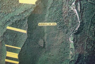 Teren de 3100 mp, în Arpașu de Sus - 2